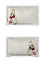 Bedsheets - Queen premium soft cotton bedsheet Digital print DD