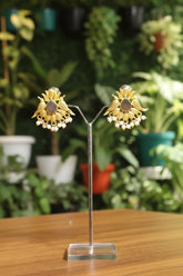 Oxidised earrings