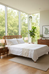 Bedsheets - Premium designer Queen bedsheets dd lace(off-white or ivory)