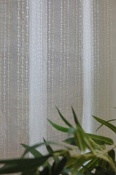 Curtains -Premium embroidery sheer curtain