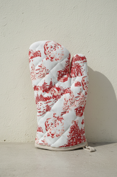 Oven gloves/Pot holder