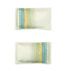 Bedsheets - Queen premium soft cotton bedsheet Digital print DD