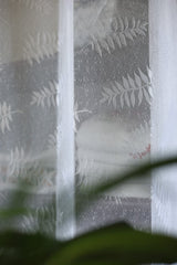 Curtains -Embroidered Sheer curtains white colour