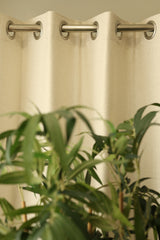 Curtains - opaque curtains glittering