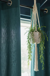 Curtain - Opaque solid plain cotton curtain : Blue