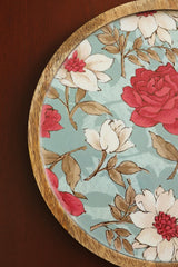 Round Platter Tray Enamel Coated Serving Tray