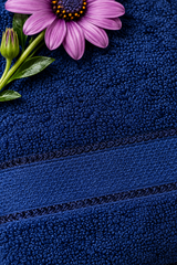 Towels :Turkey towel (Blue)