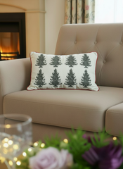 Cushion with Cushion covers: Xmas edition