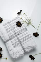 Bedsheets - King soft cotton lace bedsheets majestic