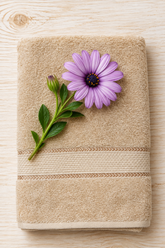 Towels :Turkey towel (Buff Beige)