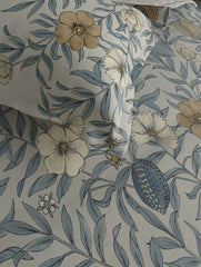 Bedsheets - Queen premium soft cotton bedsheet Digital print DD