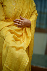 Stitched salwar set : chikankari pattern 2