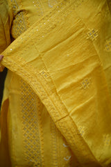 Stitched salwar set : chikankari pattern 2