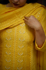 Stitched salwar set : chikankari pattern 2