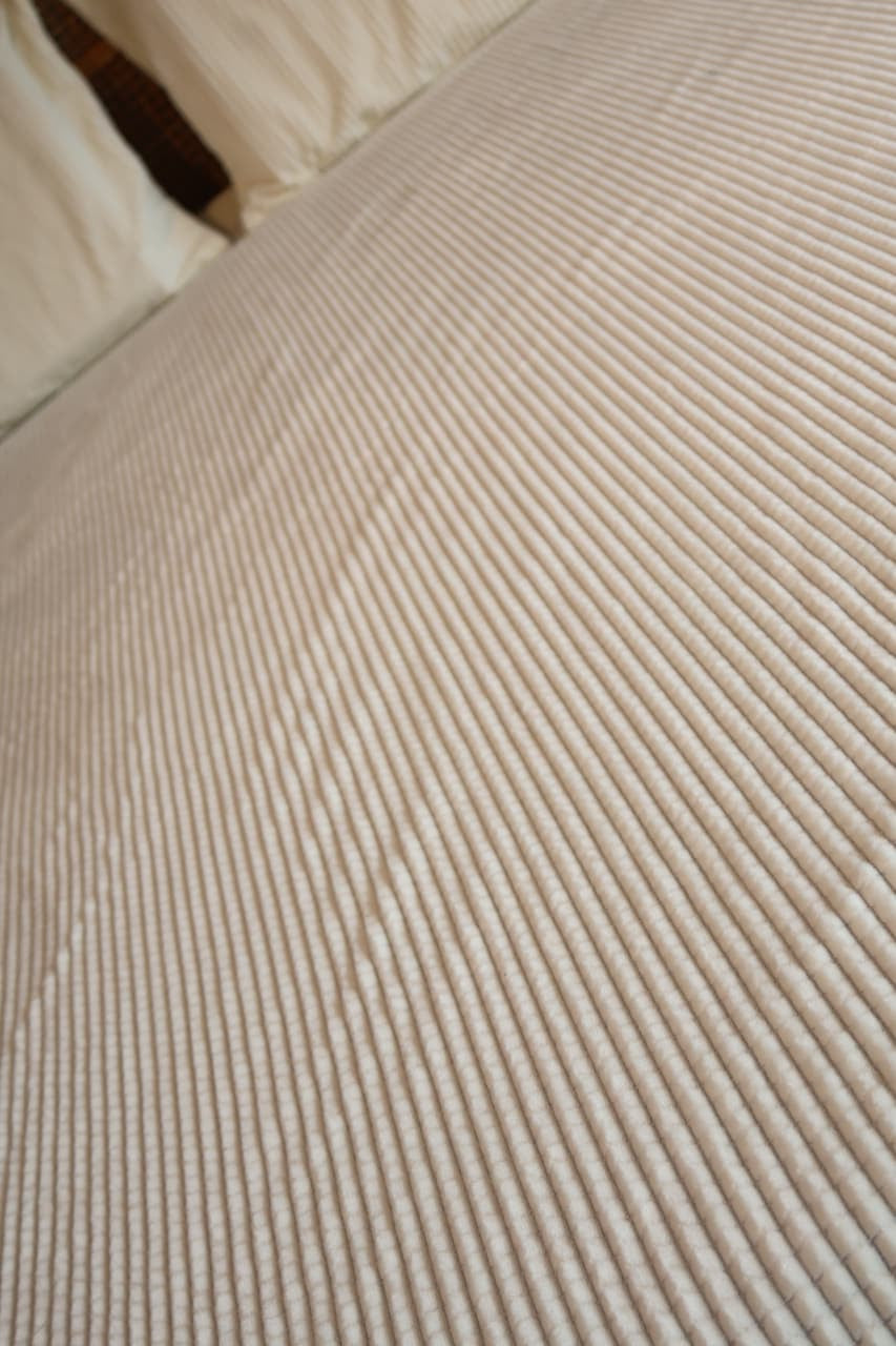 𝗩𝗲𝗹𝘃𝗲𝘁 Soft Bedding spread | Blankets - OFFER Sale