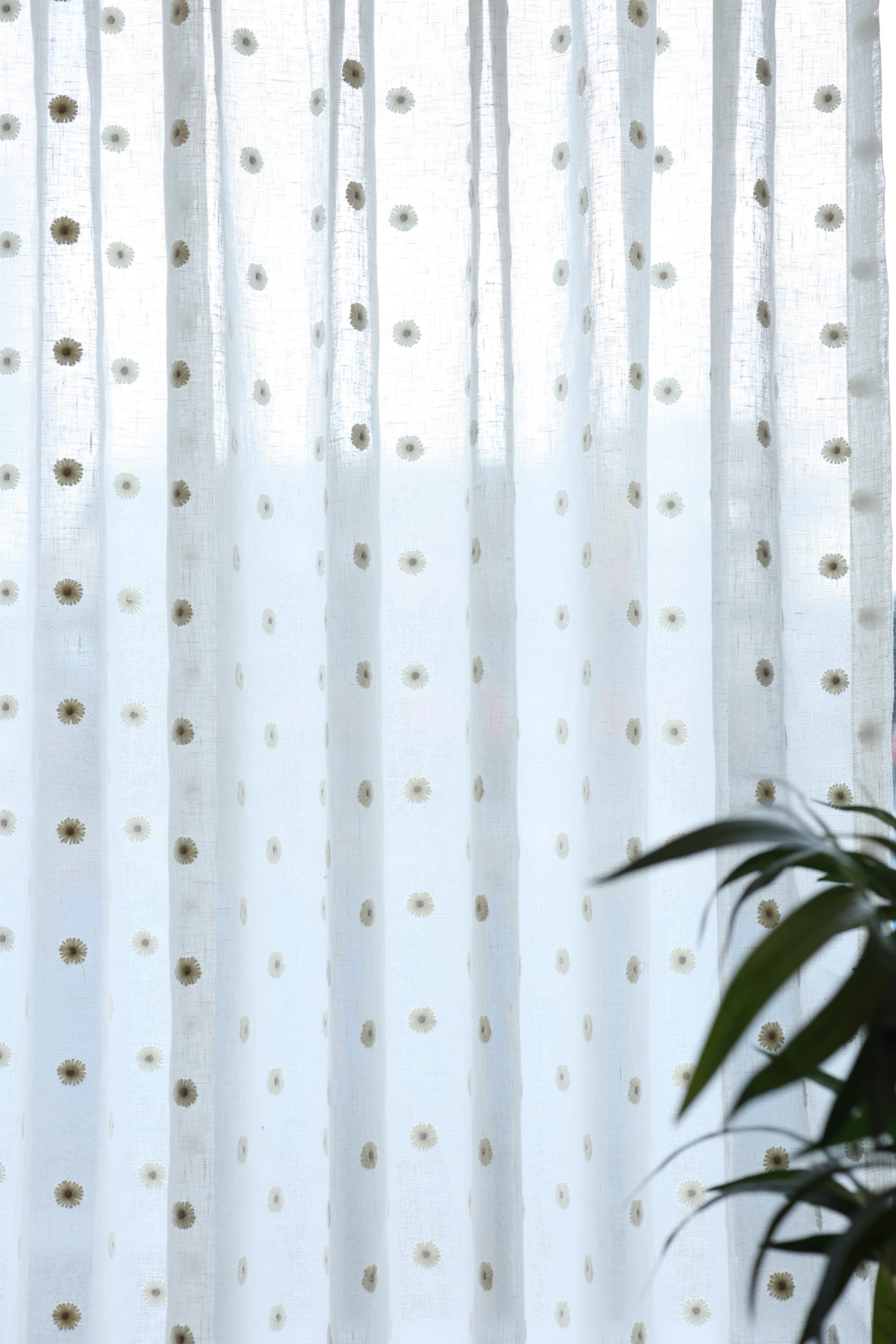 Premium Floral daisy embroidery Sheer Curtain : Cream/ off white  / White