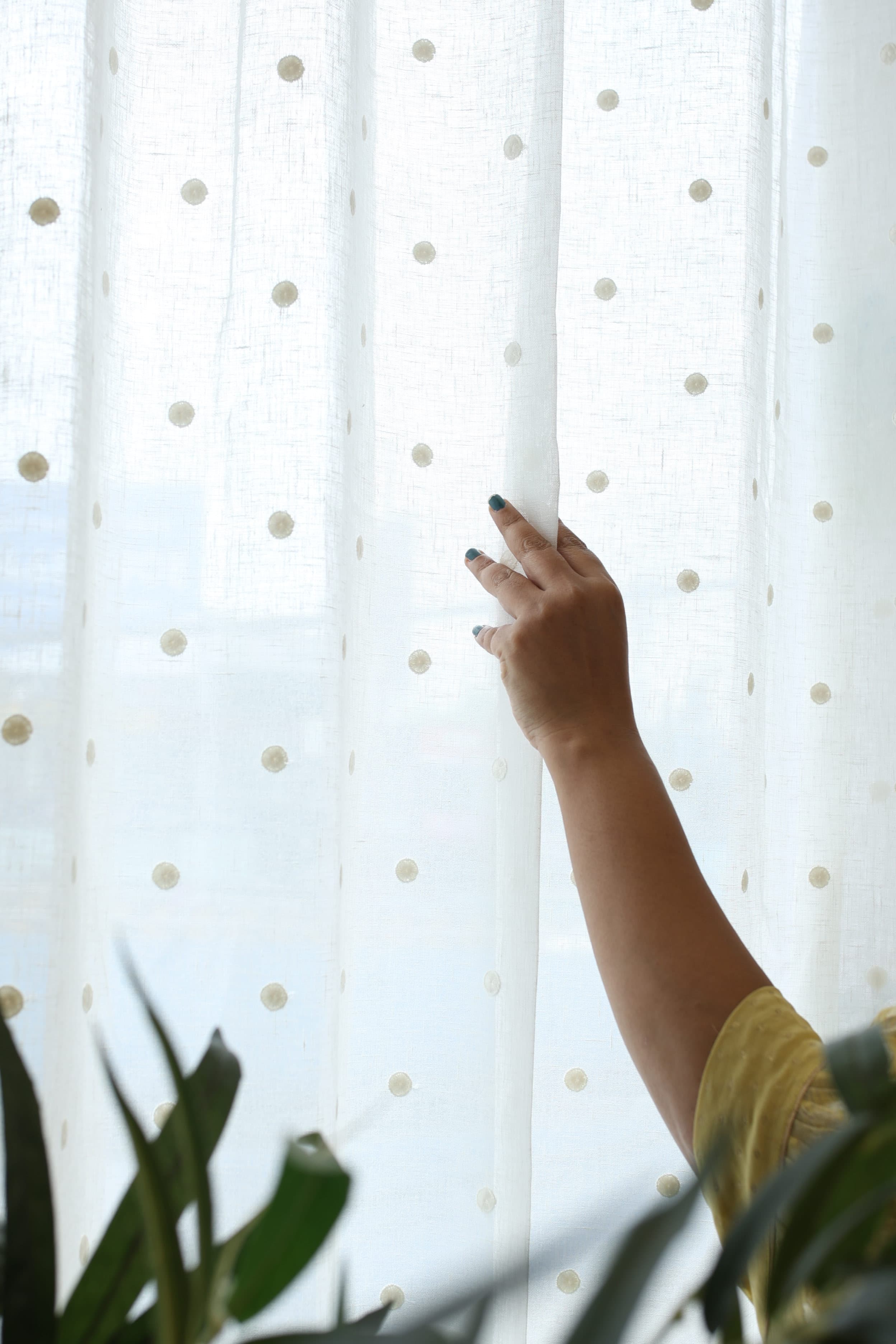 Mocha Dot Premium Embroidery Sheer Curtains (Prebooking )