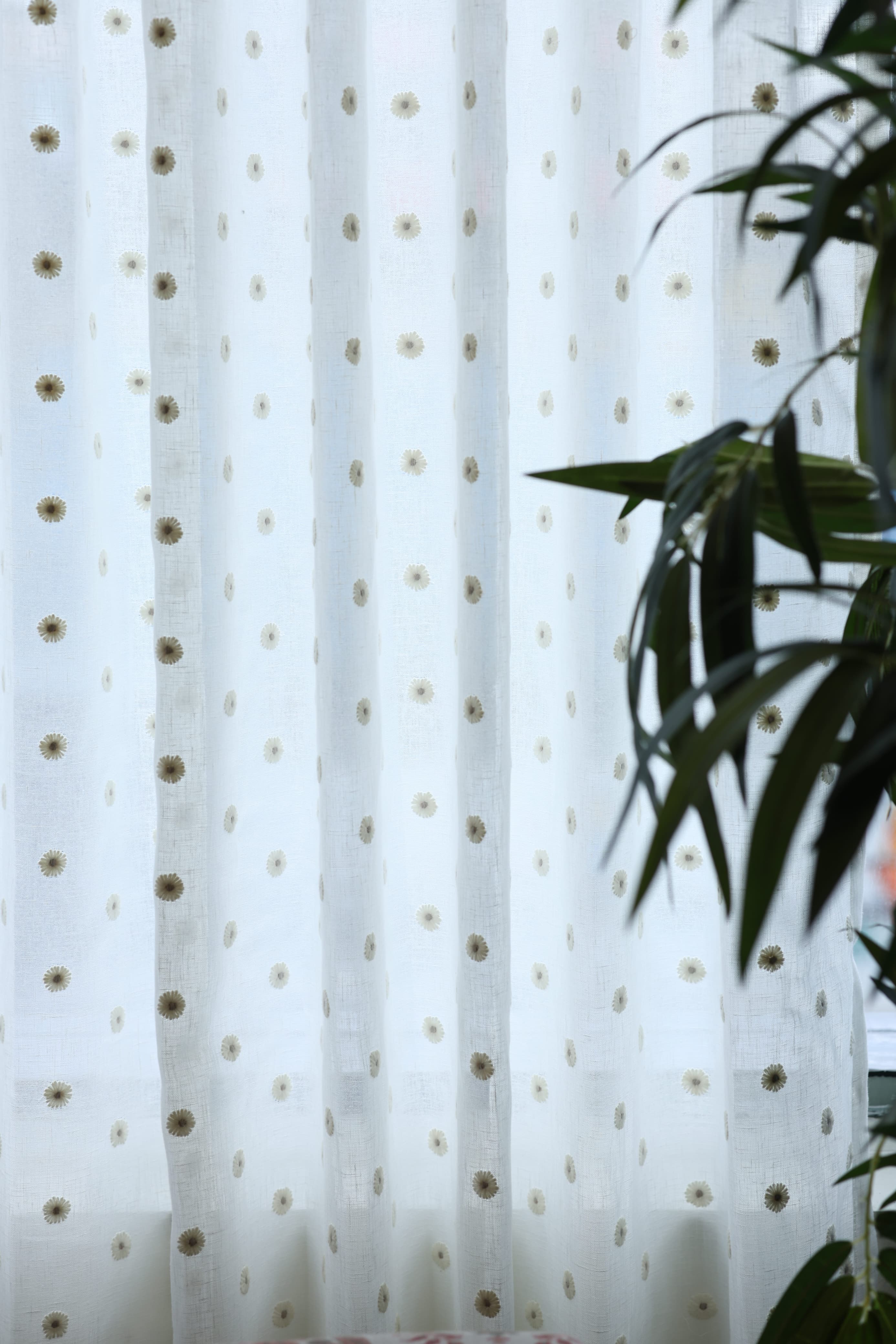 Premium Floral daisy embroidery Sheer Curtain : Cream/ off white  / White