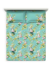 Bedsheets - Queen premium soft cotton bedsheet Digital print DD