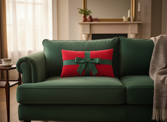 Cushion with Cushion covers:Xmas edition