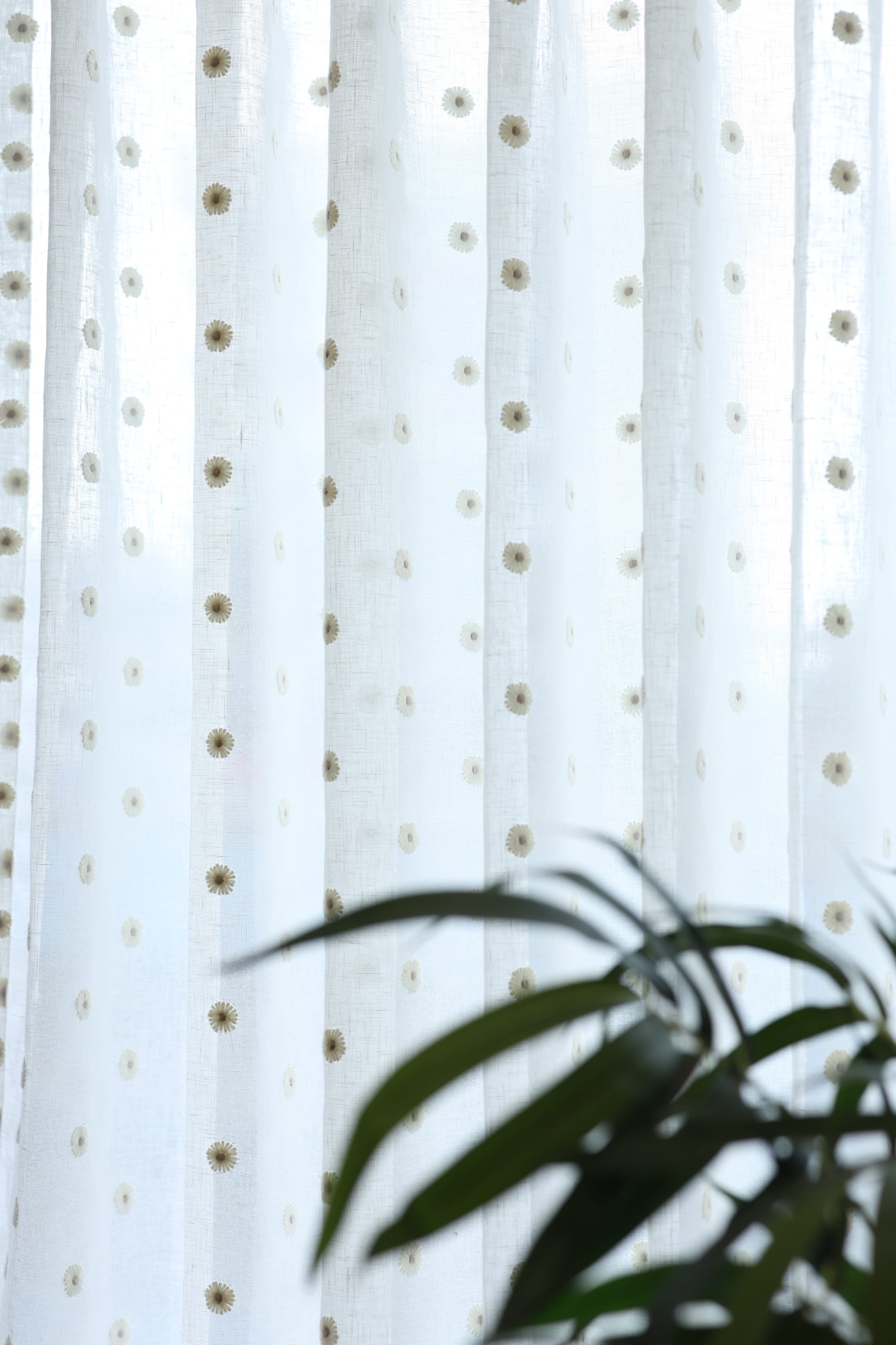 Premium Floral daisy embroidery Sheer Curtain : Cream/ off white  / White