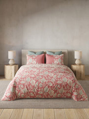 Bedsheets - Queen premium soft cotton bedsheet Digital print DD primary