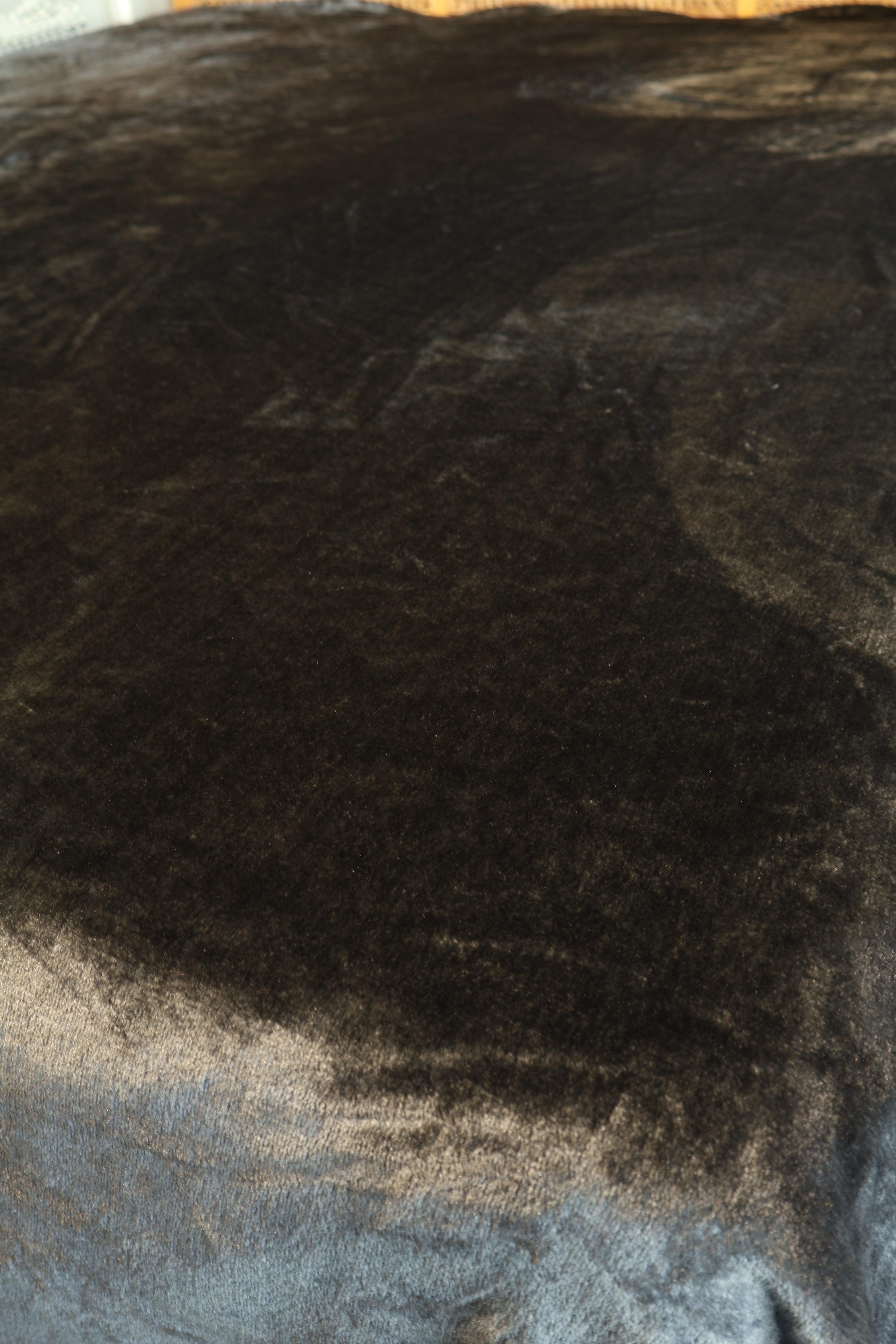 Velvet Soft Blankets