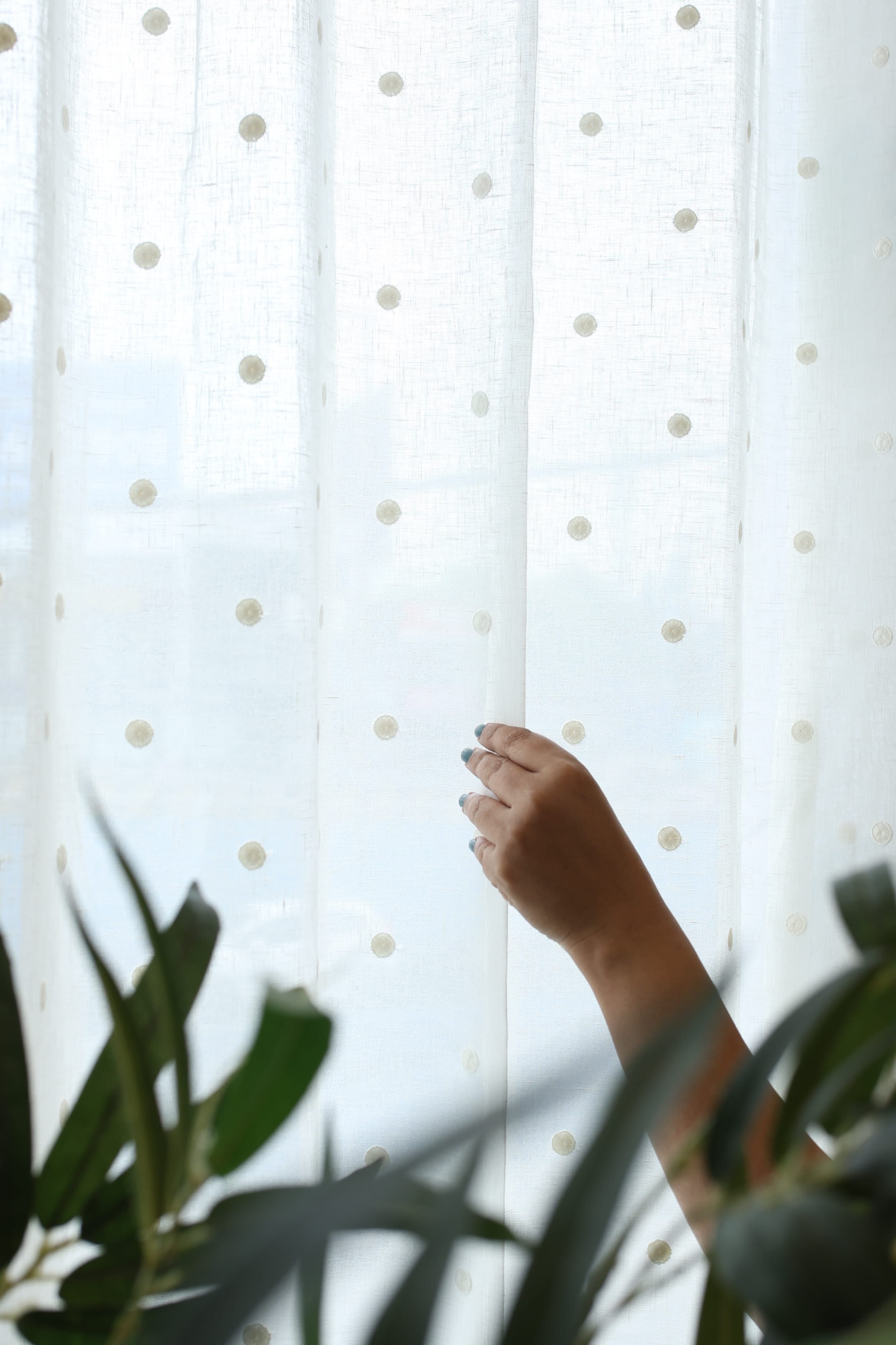 Mocha Dot Premium Embroidery Sheer Curtains (Prebooking )