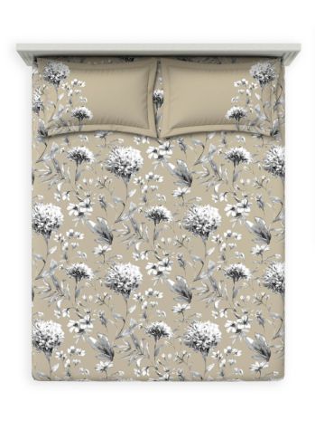Bedsheets - Queen premium soft cotton bedsheet Digital print DD primary