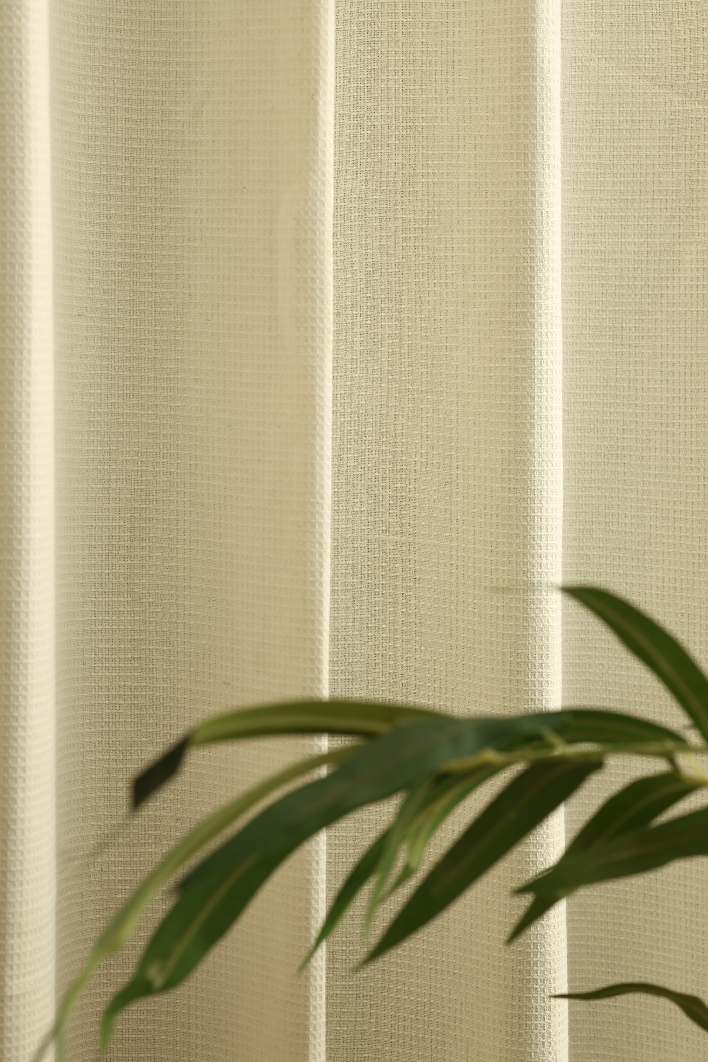 Embroidery Opaque Curtain Rainbow