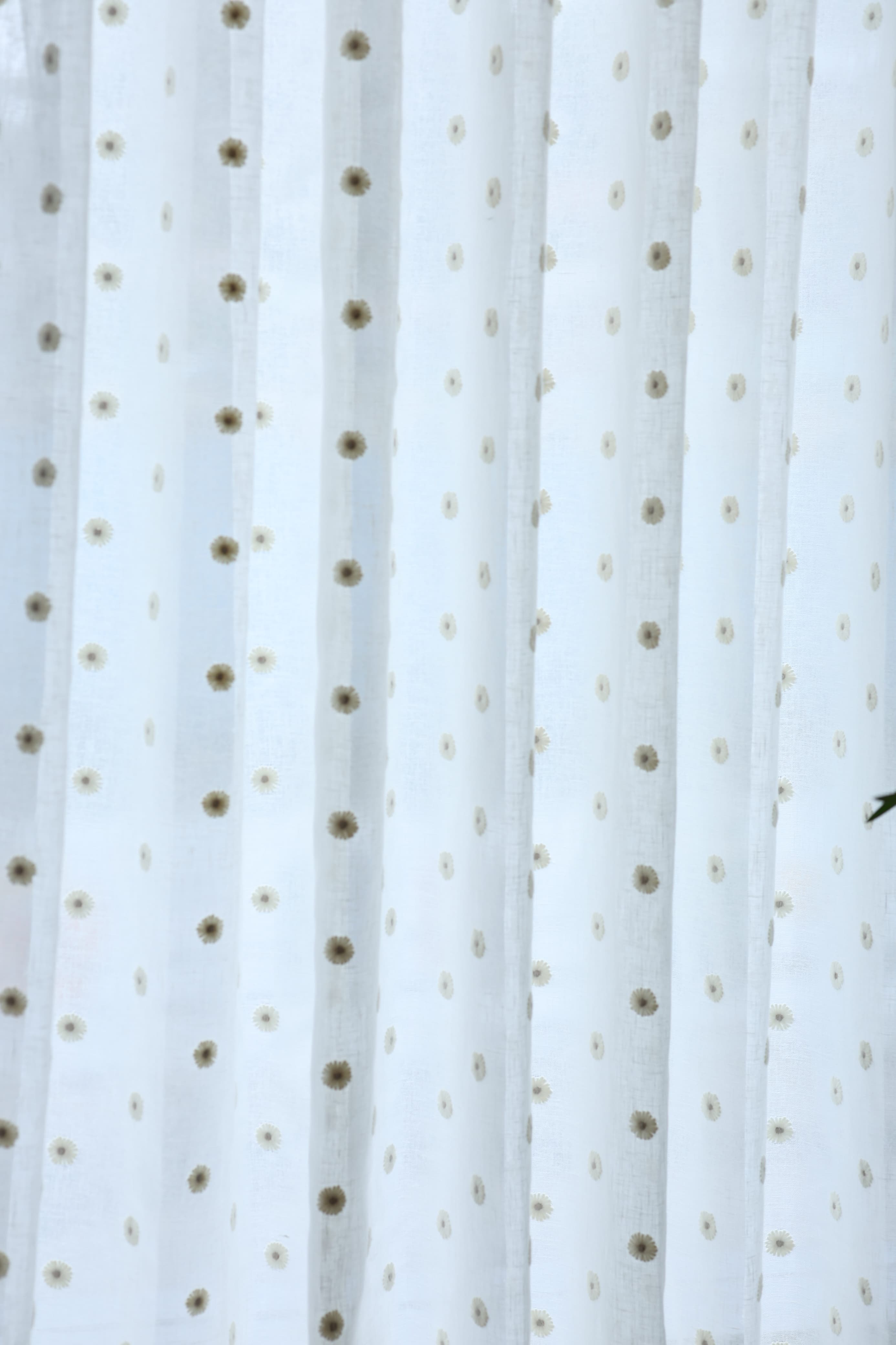 Premium Floral daisy embroidery Sheer Curtain : Cream/ off white  / White