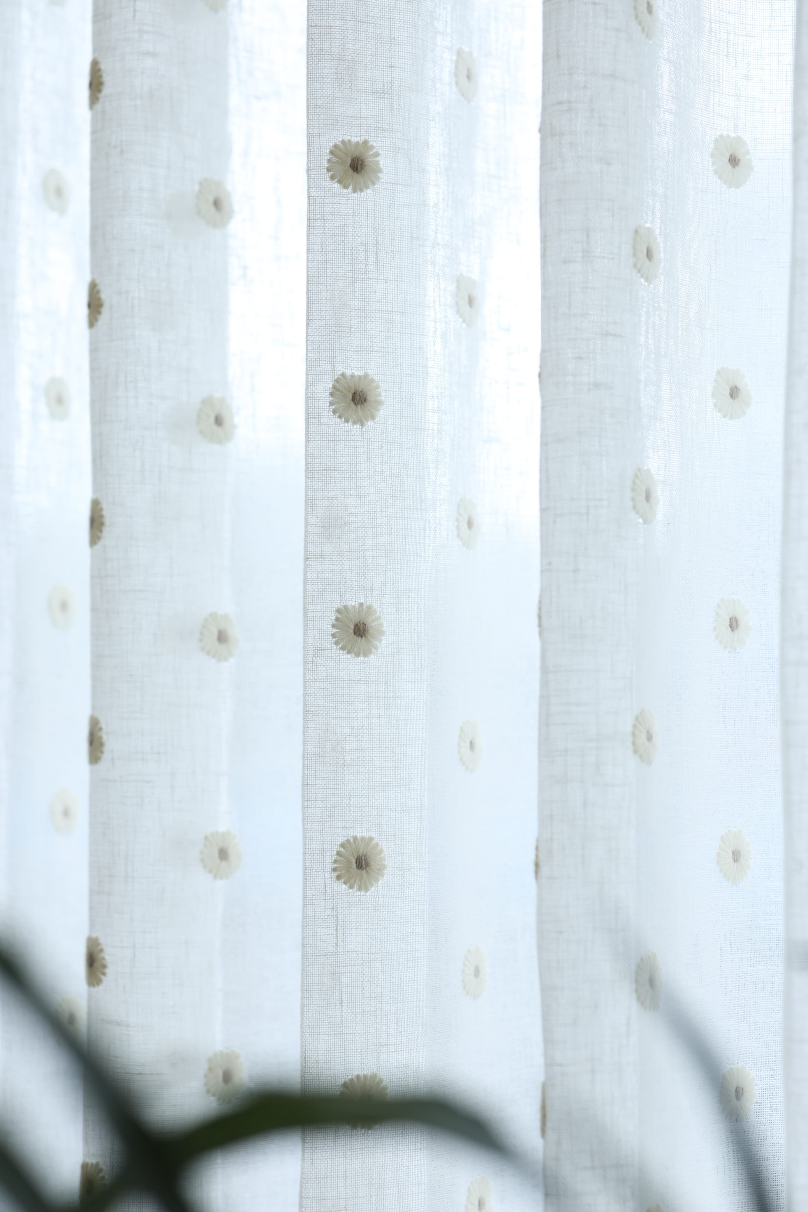 Premium Floral daisy embroidery Sheer Curtain : Cream/ off white  / White