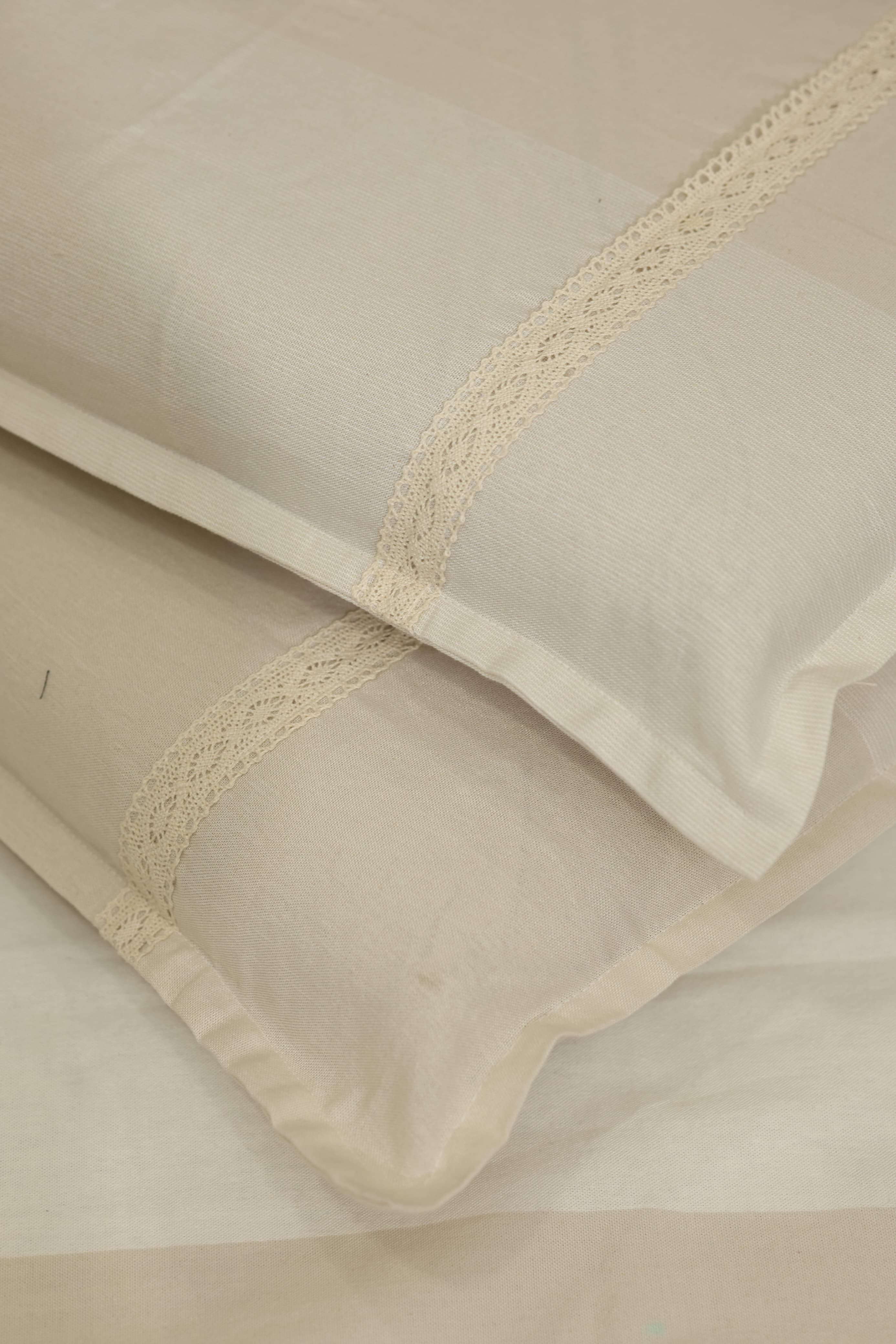 Vine Embroidery Cotton Double Bedsheet Set