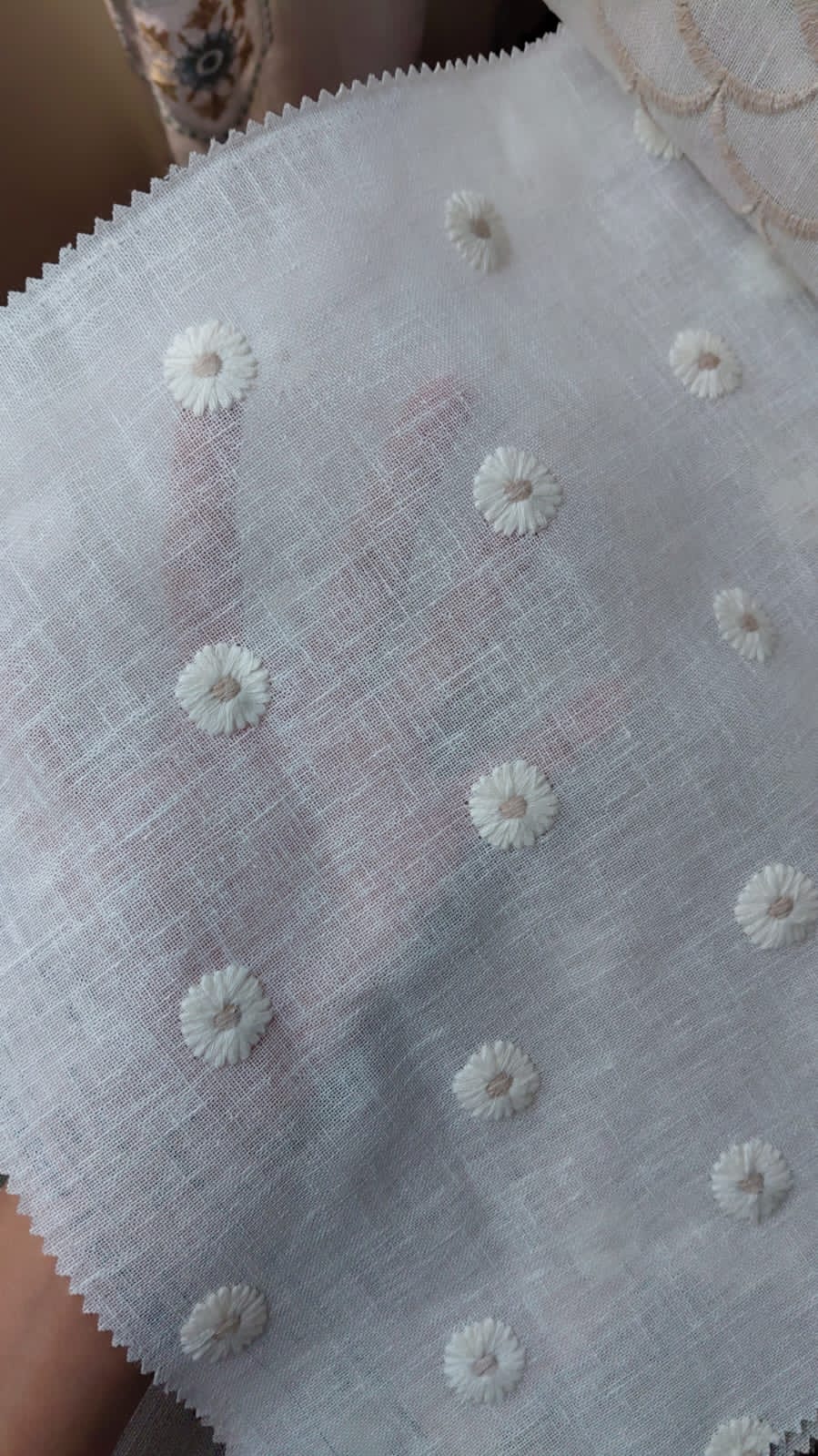 Premium Floral daisy embroidery Sheer Curtain : Cream/ off white  / White