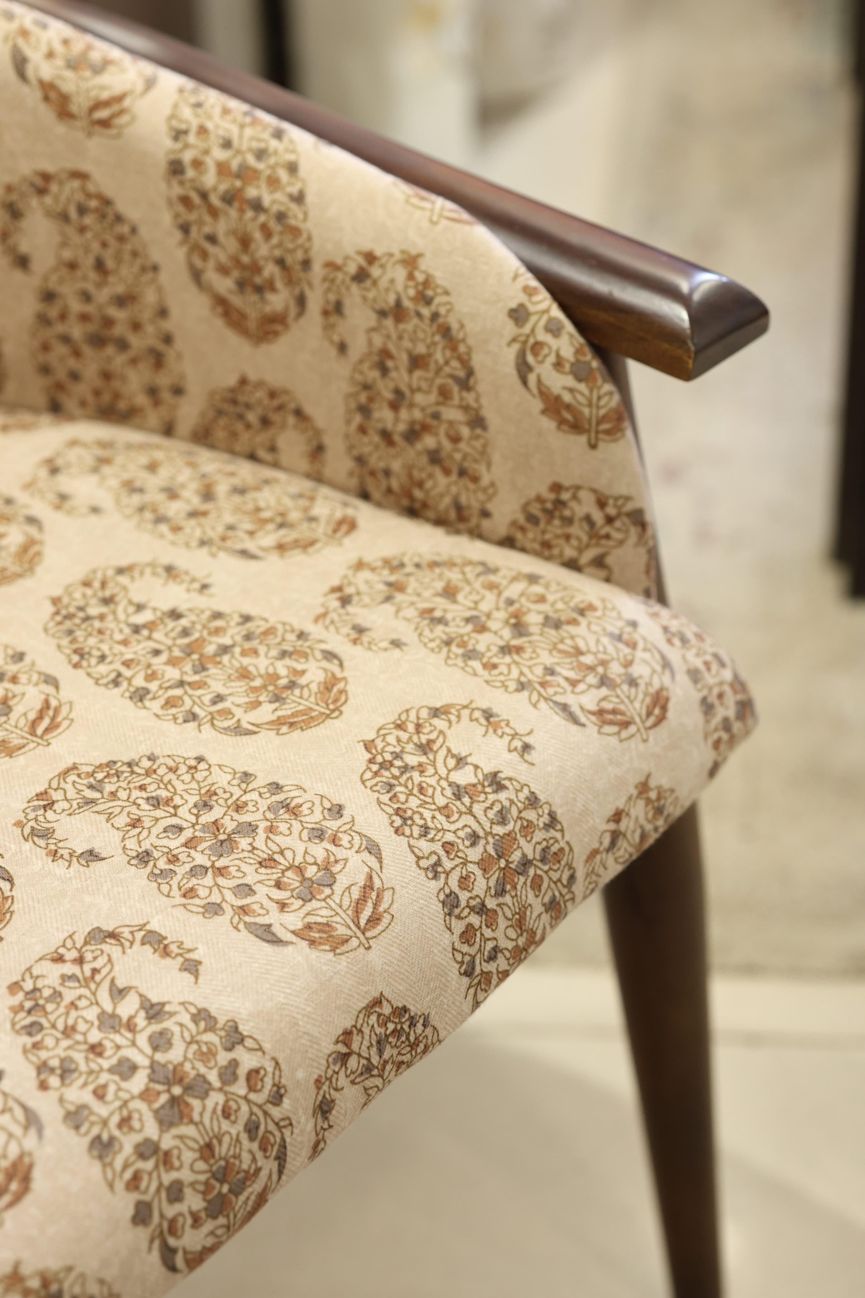 Upholstery fabrics - Rajwada Dabu