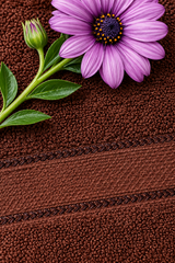 Towels :Turkey towel (Brown)