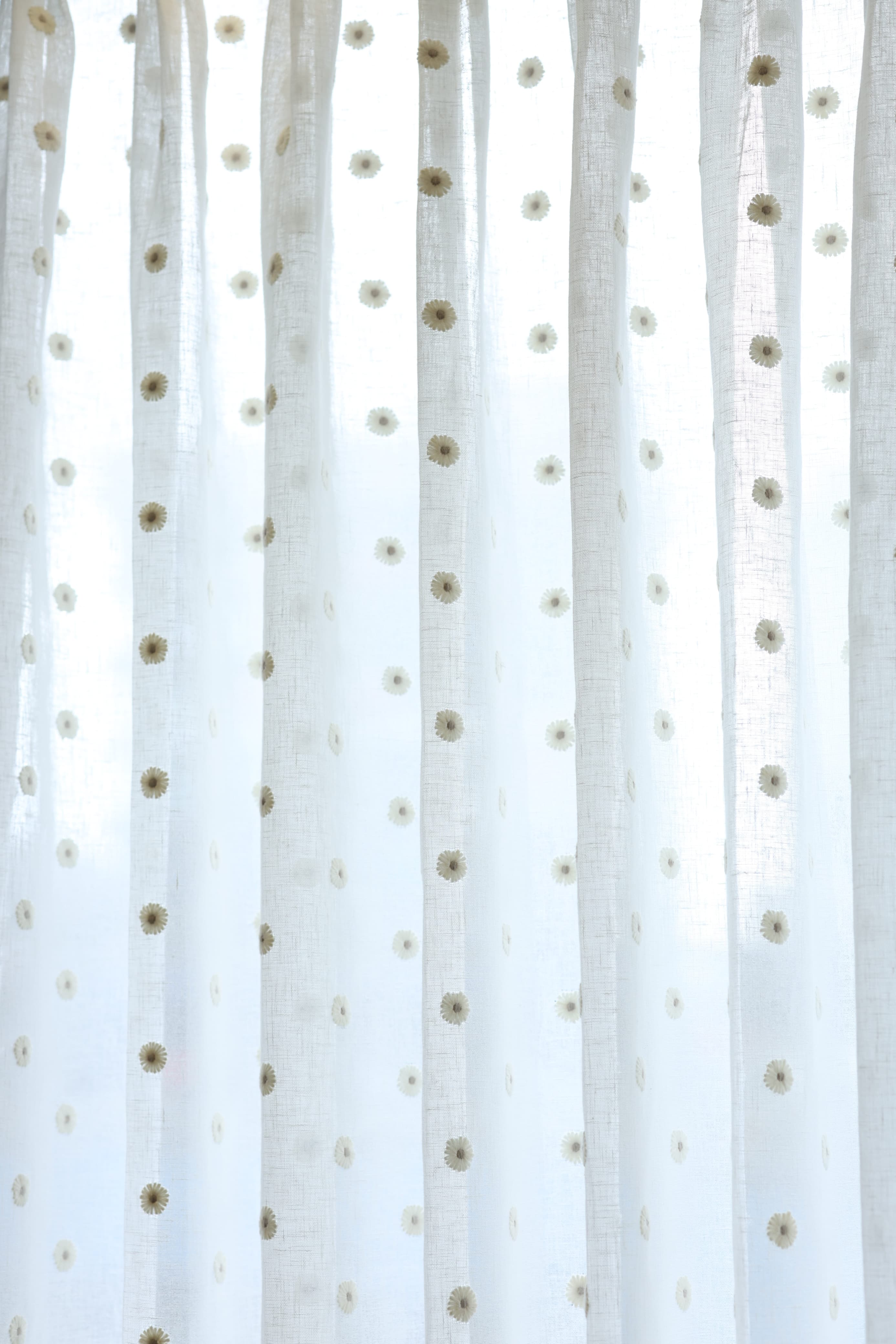 Premium Floral daisy embroidery Sheer Curtain : Cream/ off white  / White