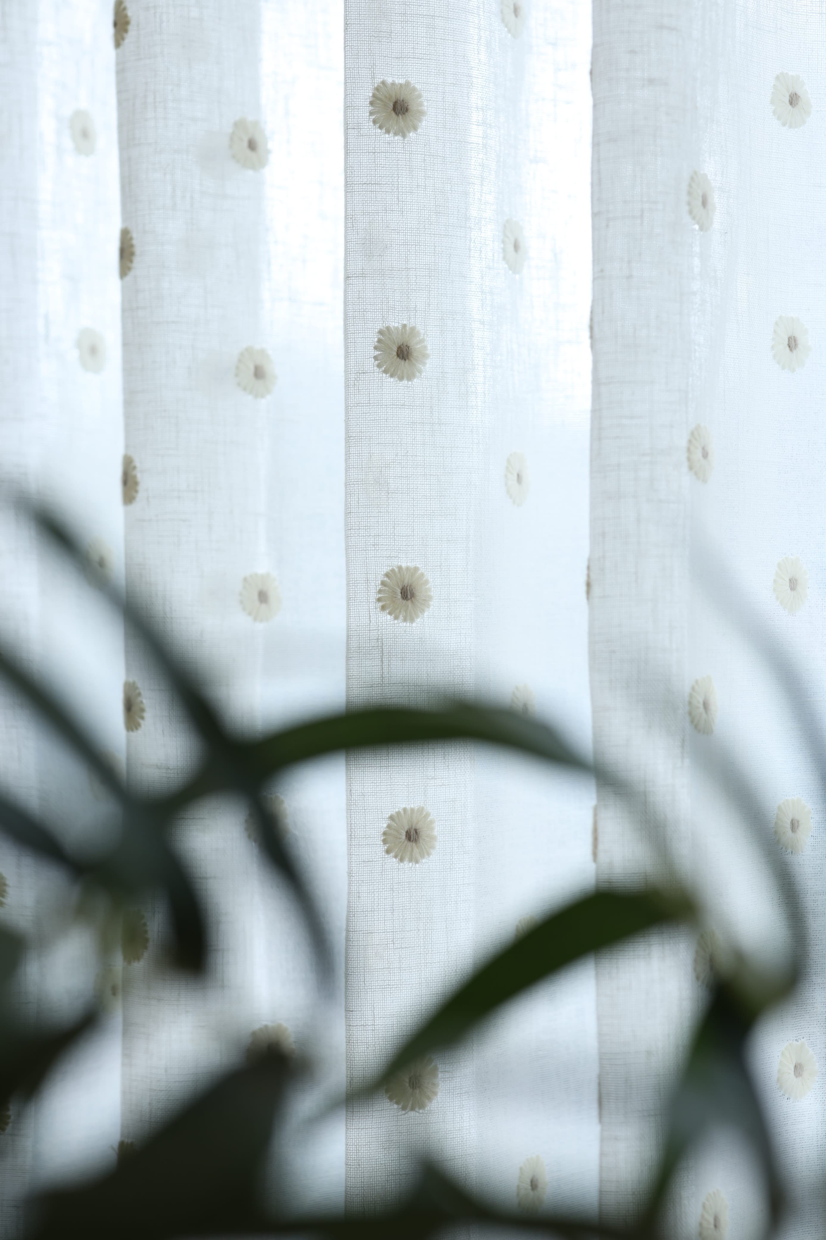 Premium Floral daisy embroidery Sheer Curtain : Cream/ off white  / White