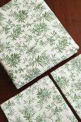 Vintana Queen Size Soft Cotton Flannel Bedsheet Set