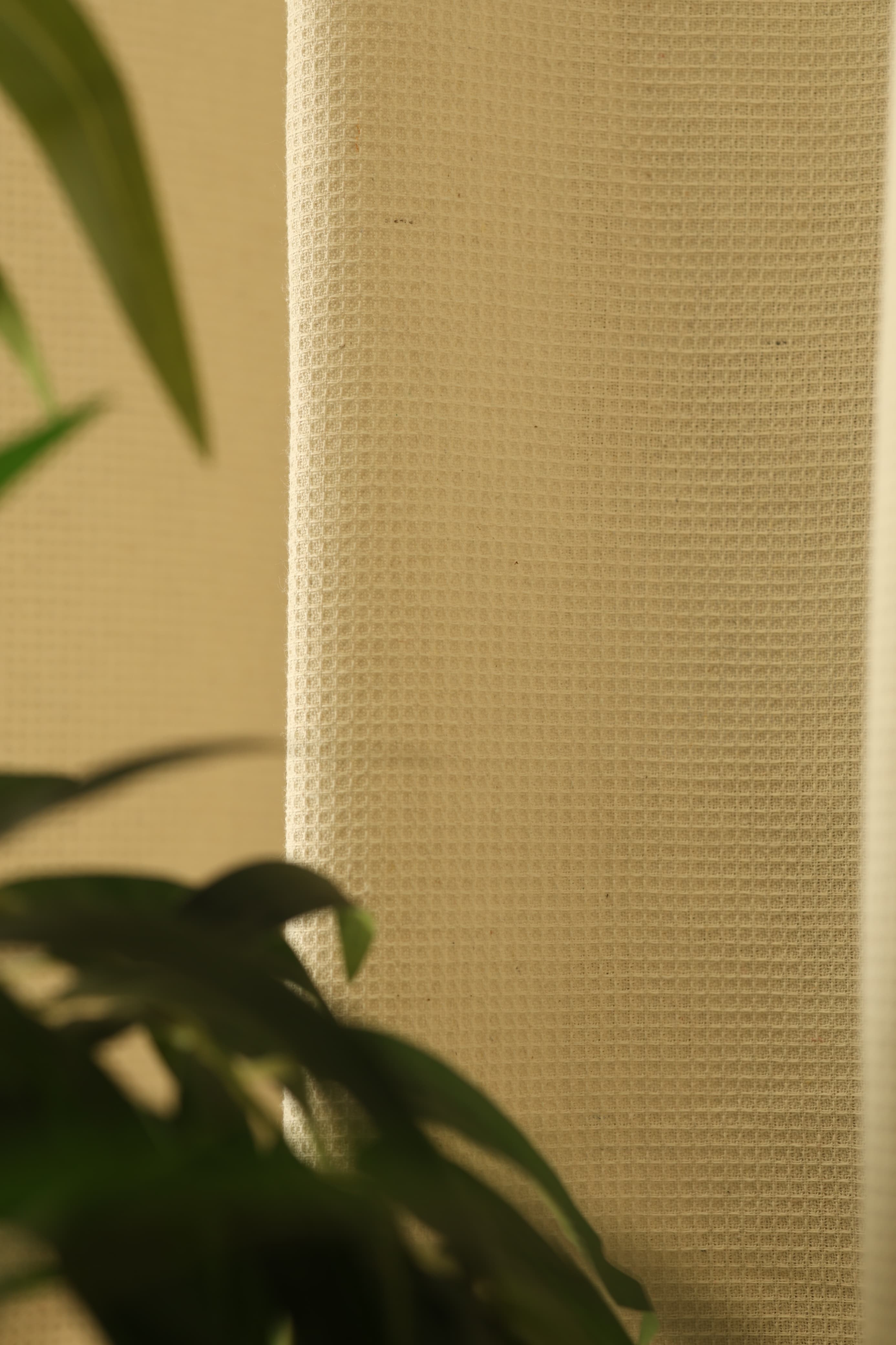 Curtains - opaque curtains