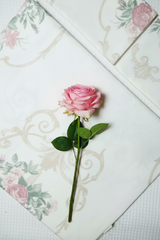 Bedsheets - Super King soft cotton  bedsheet : Divine