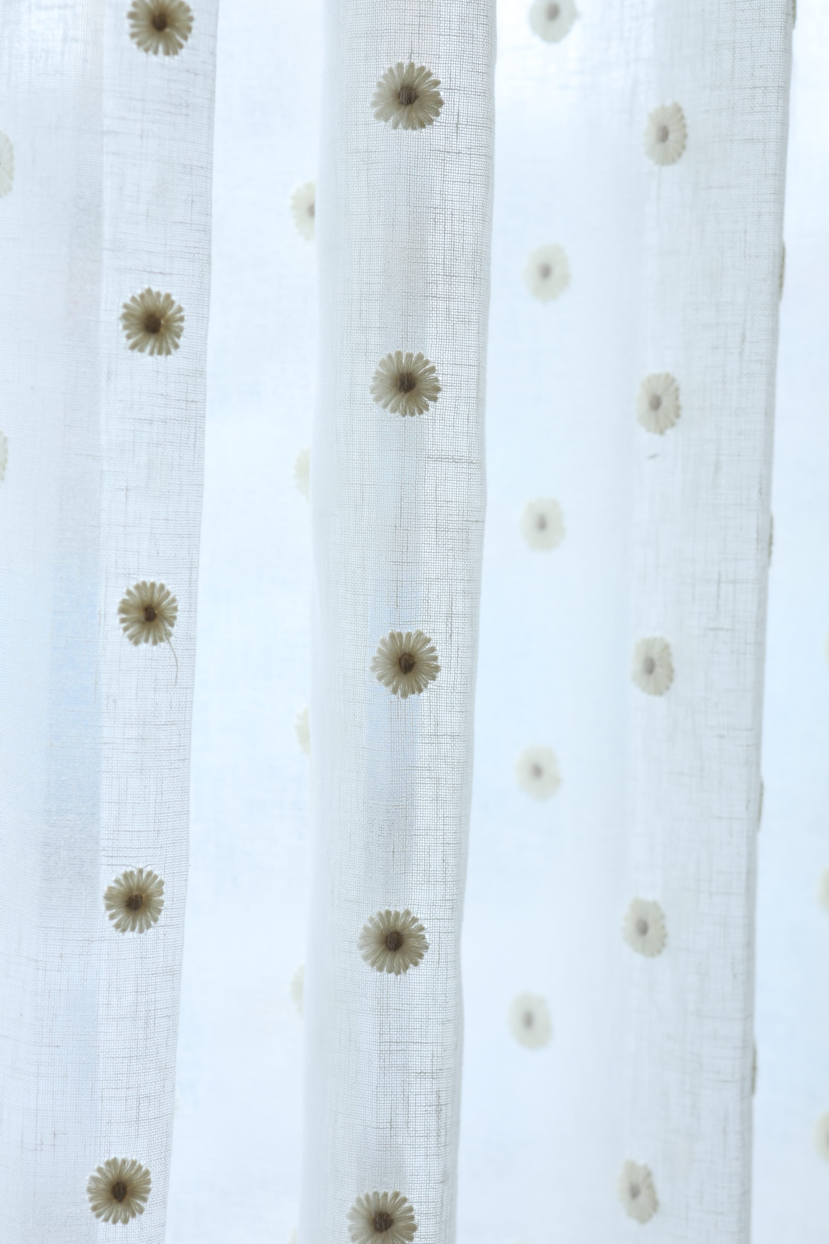 Premium Floral daisy embroidery Sheer Curtain : Cream/ off white  / White