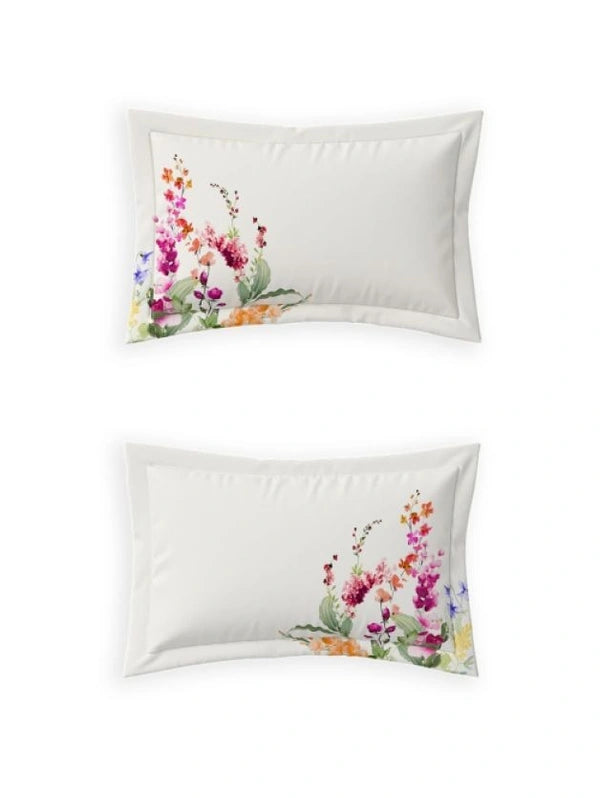 Bedsheets - King premium soft cotton bedsheet Digital Print DD (Maxima)