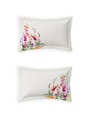 Bedsheets - King premium soft cotton bedsheet Digital Print DD (Maxima)